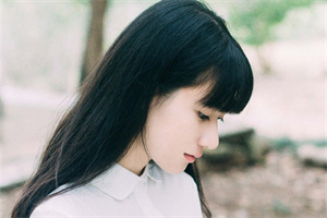 夜上海如何通过科技手段应对登革热？